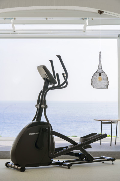 Horizon EX59 Elliptical-5